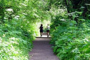 Discover Willamette Park Corvallis Oregon: Your Guide Safem Fabrication - Precision Engineering & Custom Manufacturing Solutions Discover Willamette Park Corvallis Oregon: Your Guide | Safem Fabrication - Precision Engineering & Custom Manufacturing Solutions