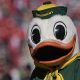 Oregon Ducks Mascot: Name, History & More! | Living in Oregon: Moving Tips, Cost of Living & Best Cities