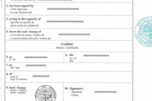 Oregon Apostille Guide: State Authentication Made Easy Safem Fabrication - Precision Engineering & Custom Manufacturing Solutions Oregon Apostille Guide: State Authentication Made Easy | Safem Fabrication - Precision Engineering & Custom Manufacturing Solutions