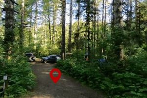 Plan Your Hebo Lake Campground, Oregon Adventure! Safem Fabrication - Precision Engineering & Custom Manufacturing Solutions Plan Your Hebo Lake Campground, Oregon Adventure! | Safem Fabrication - Precision Engineering & Custom Manufacturing Solutions