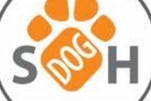 Street Dog Hero Bend Oregon Safem Fabrication - Precision Engineering & Custom Manufacturing Solutions Street Dog Hero Bend Oregon | Safem Fabrication - Precision Engineering & Custom Manufacturing Solutions