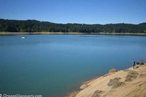 Your Guide: Fishing Henry Hagg Lake Oregon Tips & Tricks Safem Fabrication - Precision Engineering & Custom Manufacturing Solutions Your Guide: Fishing Henry Hagg Lake Oregon Tips & Tricks | Safem Fabrication - Precision Engineering & Custom Manufacturing Solutions