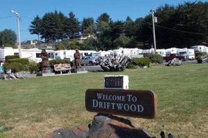 Discover Driftwood RV Park, Oregon: Your Coastal Getaway Safem Fabrication - Precision Engineering & Custom Manufacturing Solutions Discover Driftwood RV Park, Oregon: Your Coastal Getaway | Safem Fabrication - Precision Engineering & Custom Manufacturing Solutions
