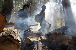 Find Wildland Fire Jobs Oregon Today: Career Guide Safem Fabrication - Precision Engineering & Custom Manufacturing Solutions Find Wildland Fire Jobs Oregon Today: Career Guide | Safem Fabrication - Precision Engineering & Custom Manufacturing Solutions