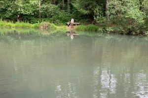 Discover Small Fry Lake Oregon: A Hidden Gem Safem Fabrication - Precision Engineering & Custom Manufacturing Solutions Discover Small Fry Lake Oregon: A Hidden Gem | Safem Fabrication - Precision Engineering & Custom Manufacturing Solutions