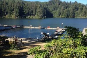 Escape to Mercer Lake Resort Oregon: Your Lakeside Haven Safem Fabrication - Precision Engineering & Custom Manufacturing Solutions Escape to Mercer Lake Resort Oregon: Your Lakeside Haven | Safem Fabrication - Precision Engineering & Custom Manufacturing Solutions