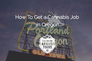 Find Top Cannabis Jobs in Portland, OR Today! Safem Fabrication - Precision Engineering & Custom Manufacturing Solutions Find Top Cannabis Jobs in Portland, OR Today! | Safem Fabrication - Precision Engineering & Custom Manufacturing Solutions