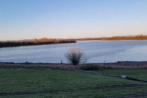 Discover Sturgeon Lake Oregon: A Willamette Valley Gem Safem Fabrication - Precision Engineering & Custom Manufacturing Solutions Discover Sturgeon Lake Oregon: A Willamette Valley Gem | Safem Fabrication - Precision Engineering & Custom Manufacturing Solutions