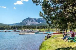 Camping Bliss: Paulina Lake Campground, Oregon Getaway! Safem Fabrication - Precision Engineering & Custom Manufacturing Solutions Camping Bliss: Paulina Lake Campground, Oregon Getaway! | Safem Fabrication - Precision Engineering & Custom Manufacturing Solutions