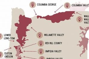 Discover Oregon Wine Country: Your Map Guide! Safem Fabrication - Precision Engineering & Custom Manufacturing Solutions Discover Oregon Wine Country: Your Map Guide! | Safem Fabrication - Precision Engineering & Custom Manufacturing Solutions