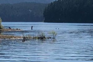 Fishing at Trout Lake Oregon: A Cascade Paradise Safem Fabrication - Precision Engineering & Custom Manufacturing Solutions Fishing at Trout Lake Oregon: A Cascade Paradise | Safem Fabrication - Precision Engineering & Custom Manufacturing Solutions