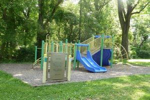 Fun at Oregon Ridge Park Playground: A Kid's Paradise Safem Fabrication - Precision Engineering & Custom Manufacturing Solutions Fun at Oregon Ridge Park Playground: A Kid's Paradise | Safem Fabrication - Precision Engineering & Custom Manufacturing Solutions