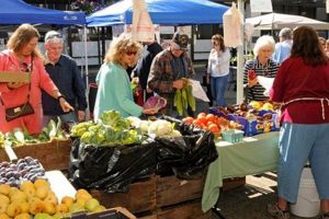 Your Guide to Oregon Coast Farmers Markets Near You Safem Fabrication - Precision Engineering & Custom Manufacturing Solutions Your Guide to Oregon Coast Farmers Markets Near You | Safem Fabrication - Precision Engineering & Custom Manufacturing Solutions