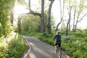 Explore Eugene Oregon Bike Paths: Trails & More! Safem Fabrication - Precision Engineering & Custom Manufacturing Solutions Explore Eugene Oregon Bike Paths: Trails & More! | Safem Fabrication - Precision Engineering & Custom Manufacturing Solutions