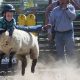 Your Crook County Fair Oregon Guide: Fun & Events | Living in Oregon: Moving Tips, Cost of Living & Best Cities