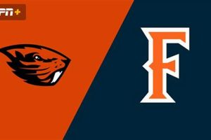 CSUF vs Oregon State: Which is Right For You? Safem Fabrication - Precision Engineering & Custom Manufacturing Solutions CSUF vs Oregon State: Which is Right For You? | Safem Fabrication - Precision Engineering & Custom Manufacturing Solutions