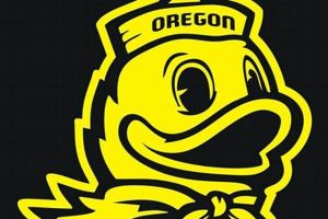 Shop Oregon Ducks Stickers: Decals & More! Safem Fabrication - Precision Engineering & Custom Manufacturing Solutions Shop Oregon Ducks Stickers: Decals & More! | Safem Fabrication - Precision Engineering & Custom Manufacturing Solutions