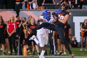 Beavers in the NFL: Oregon State Players Dominating Pro Football Safem Fabrication - Precision Engineering & Custom Manufacturing Solutions Beavers in the NFL: Oregon State Players Dominating Pro Football | Safem Fabrication - Precision Engineering & Custom Manufacturing Solutions