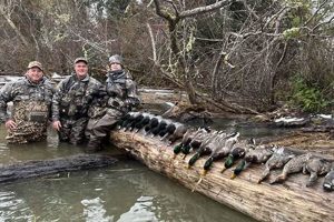 Ducks & Permits: Oregon Duck Hunting License Requirement Info Safem Fabrication - Precision Engineering & Custom Manufacturing Solutions Ducks & Permits: Oregon Duck Hunting License Requirement Info | Safem Fabrication - Precision Engineering & Custom Manufacturing Solutions