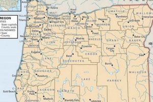 Section 8 Housing: Washington County, OR Options & Info Safem Fabrication - Precision Engineering & Custom Manufacturing Solutions Section 8 Housing: Washington County, OR Options & Info | Safem Fabrication - Precision Engineering & Custom Manufacturing Solutions