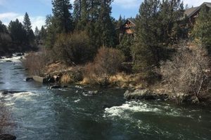 Find Top-Rated Allergist Bend Oregon | Relief Now Safem Fabrication - Precision Engineering & Custom Manufacturing Solutions Find Top-Rated Allergist Bend Oregon | Relief Now | Safem Fabrication - Precision Engineering & Custom Manufacturing Solutions
