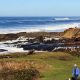 Find Pet-Friendly Yachats Oregon Hotels + Tips | Living in Oregon: Moving Tips, Cost of Living & Best Cities
