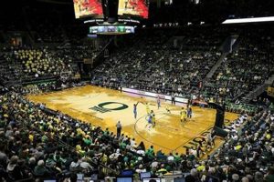 Oregon Ducks Stats: UW Match Player Performance + Analysis Safem Fabrication - Precision Engineering & Custom Manufacturing Solutions Oregon Ducks Stats: UW Match Player Performance + Analysis | Safem Fabrication - Precision Engineering & Custom Manufacturing Solutions