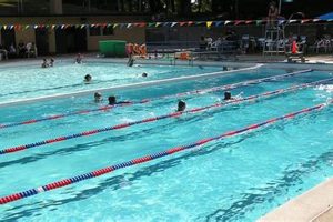 Your Guide: Creston Pool Portland Oregon - Swim & Fun! Safem Fabrication - Precision Engineering & Custom Manufacturing Solutions Your Guide: Creston Pool Portland Oregon - Swim & Fun! | Safem Fabrication - Precision Engineering & Custom Manufacturing Solutions