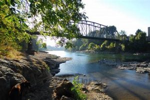 Visit High Rocks Park, Oregon: A Natural Gem! Safem Fabrication - Precision Engineering & Custom Manufacturing Solutions Visit High Rocks Park, Oregon: A Natural Gem! | Safem Fabrication - Precision Engineering & Custom Manufacturing Solutions