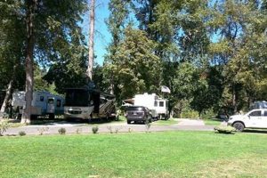 Your Guide: River Park RV Resort, Oregon Stays & Tips Safem Fabrication - Precision Engineering & Custom Manufacturing Solutions Your Guide: River Park RV Resort, Oregon Stays & Tips | Safem Fabrication - Precision Engineering & Custom Manufacturing Solutions