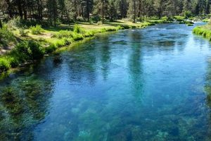 Discover Collier Memorial State Park Oregon: Nature's Gem Safem Fabrication - Precision Engineering & Custom Manufacturing Solutions Discover Collier Memorial State Park Oregon: Nature's Gem | Safem Fabrication - Precision Engineering & Custom Manufacturing Solutions