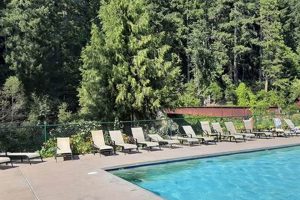 Find McKenzie Bridge, Oregon Hotels: Best Deals & Stays Safem Fabrication - Precision Engineering & Custom Manufacturing Solutions Find McKenzie Bridge, Oregon Hotels: Best Deals & Stays | Safem Fabrication - Precision Engineering & Custom Manufacturing Solutions