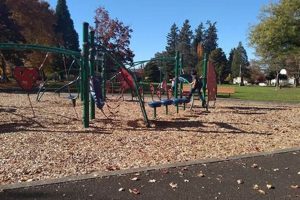 Explore Parks in Forest Grove, Oregon: Your Green Oasis! Safem Fabrication - Precision Engineering & Custom Manufacturing Solutions Explore Parks in Forest Grove, Oregon: Your Green Oasis! | Safem Fabrication - Precision Engineering & Custom Manufacturing Solutions