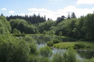 Visit Rood Bridge Park Oregon | A Hillsboro Gem Safem Fabrication - Precision Engineering & Custom Manufacturing Solutions Visit Rood Bridge Park Oregon | A Hillsboro Gem | Safem Fabrication - Precision Engineering & Custom Manufacturing Solutions