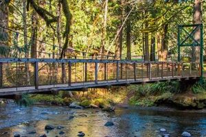 Visit Eagle Fern Park Oregon: A Nature Escape! Safem Fabrication - Precision Engineering & Custom Manufacturing Solutions Visit Eagle Fern Park Oregon: A Nature Escape! | Safem Fabrication - Precision Engineering & Custom Manufacturing Solutions