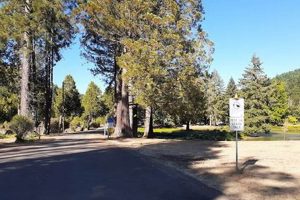 Explore: Douglas County Oregon Parks - Adventures Await! Safem Fabrication - Precision Engineering & Custom Manufacturing Solutions Explore: Douglas County Oregon Parks - Adventures Await! | Safem Fabrication - Precision Engineering & Custom Manufacturing Solutions