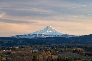 Visit Hood View Park Oregon: Scenic Oregon Park Safem Fabrication - Precision Engineering & Custom Manufacturing Solutions Visit Hood View Park Oregon: Scenic Oregon Park | Safem Fabrication - Precision Engineering & Custom Manufacturing Solutions