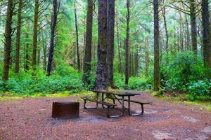 Explore Carl Washburne State Park Oregon: Beaches & Trails Safem Fabrication - Precision Engineering & Custom Manufacturing Solutions Explore Carl Washburne State Park Oregon: Beaches & Trails | Safem Fabrication - Precision Engineering & Custom Manufacturing Solutions