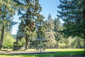 Discover Laverne Park, Oregon: A Natural Escape Safem Fabrication - Precision Engineering & Custom Manufacturing Solutions Discover Laverne Park, Oregon: A Natural Escape | Safem Fabrication - Precision Engineering & Custom Manufacturing Solutions