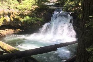 Discover Idleyld Park, Oregon: Your Umpqua Adventure Safem Fabrication - Precision Engineering & Custom Manufacturing Solutions Discover Idleyld Park, Oregon: Your Umpqua Adventure | Safem Fabrication - Precision Engineering & Custom Manufacturing Solutions