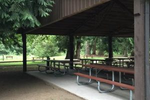 Visit Feyrer Park Oregon: A Local Gem & More! Safem Fabrication - Precision Engineering & Custom Manufacturing Solutions Visit Feyrer Park Oregon: A Local Gem & More! | Safem Fabrication - Precision Engineering & Custom Manufacturing Solutions