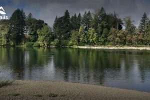 Keizer Rapids Park: Keizer, Oregon's Riverfront Fun! Safem Fabrication - Precision Engineering & Custom Manufacturing Solutions Keizer Rapids Park: Keizer, Oregon's Riverfront Fun! | Safem Fabrication - Precision Engineering & Custom Manufacturing Solutions