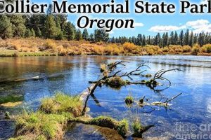 Visit Collier State Park Oregon | Camping & Museum Safem Fabrication - Precision Engineering & Custom Manufacturing Solutions Visit Collier State Park Oregon | Camping & Museum | Safem Fabrication - Precision Engineering & Custom Manufacturing Solutions