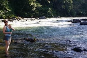 Explore Tucker Park Oregon: Nature's Gem! Safem Fabrication - Precision Engineering & Custom Manufacturing Solutions Explore Tucker Park Oregon: Nature's Gem! | Safem Fabrication - Precision Engineering & Custom Manufacturing Solutions