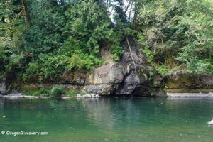 Discover Moonshine Park: Lincoln County, Oregon's Gem Safem Fabrication - Precision Engineering & Custom Manufacturing Solutions Discover Moonshine Park: Lincoln County, Oregon's Gem | Safem Fabrication - Precision Engineering & Custom Manufacturing Solutions