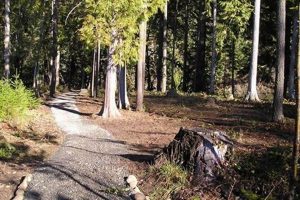 Visit River Bend County Park Oregon: Nature Awaits! Safem Fabrication - Precision Engineering & Custom Manufacturing Solutions Visit River Bend County Park Oregon: Nature Awaits! | Safem Fabrication - Precision Engineering & Custom Manufacturing Solutions