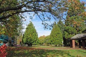 Discover Montavilla Park, Portland Oregon: Your Urban Oasis! Safem Fabrication - Precision Engineering & Custom Manufacturing Solutions Discover Montavilla Park, Portland Oregon: Your Urban Oasis! | Safem Fabrication - Precision Engineering & Custom Manufacturing Solutions