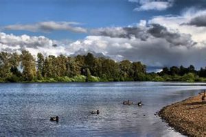 Explore Cascade Gateway Park Salem, Oregon: Your Guide Safem Fabrication - Precision Engineering & Custom Manufacturing Solutions Explore Cascade Gateway Park Salem, Oregon: Your Guide | Safem Fabrication - Precision Engineering & Custom Manufacturing Solutions