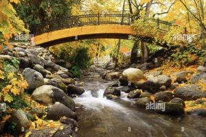 Visiting the Ashland Oregon Dog Park: A Local's Guide Safem Fabrication - Precision Engineering & Custom Manufacturing Solutions Visiting the Ashland Oregon Dog Park: A Local's Guide | Safem Fabrication - Precision Engineering & Custom Manufacturing Solutions