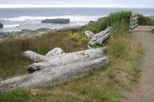 Visit Smelt Sands State Park Oregon: Your Coastal Guide Safem Fabrication - Precision Engineering & Custom Manufacturing Solutions Visit Smelt Sands State Park Oregon: Your Coastal Guide | Safem Fabrication - Precision Engineering & Custom Manufacturing Solutions
